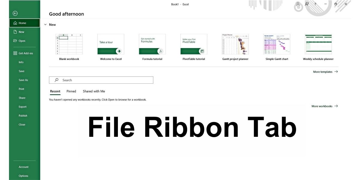 File Ribbon Tab in MS Excel - Excel Hippo