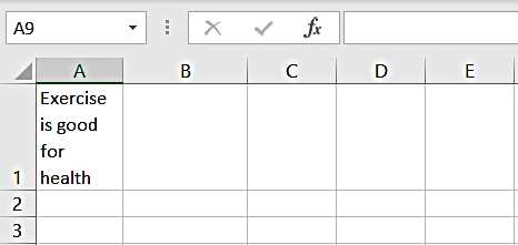 Image Shows text after the application of wrap text feature - Excel Hippo Module - How to Wrap Text in Excel