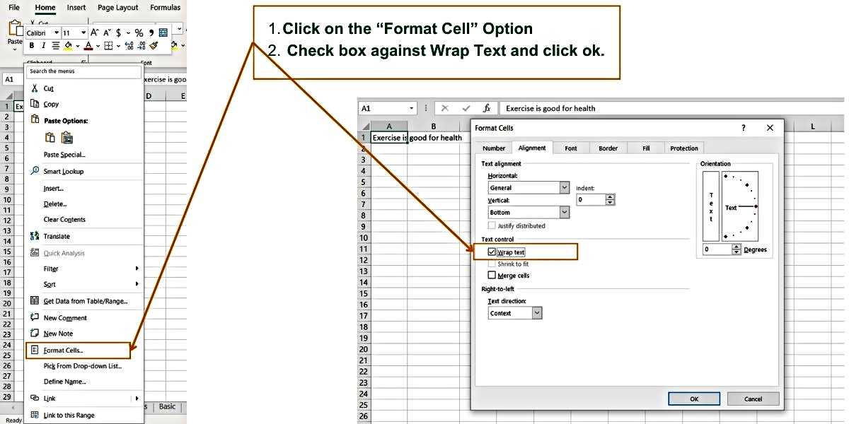 Cell Format Option - Excel Hippo Module - How to Wrap Text in Excel