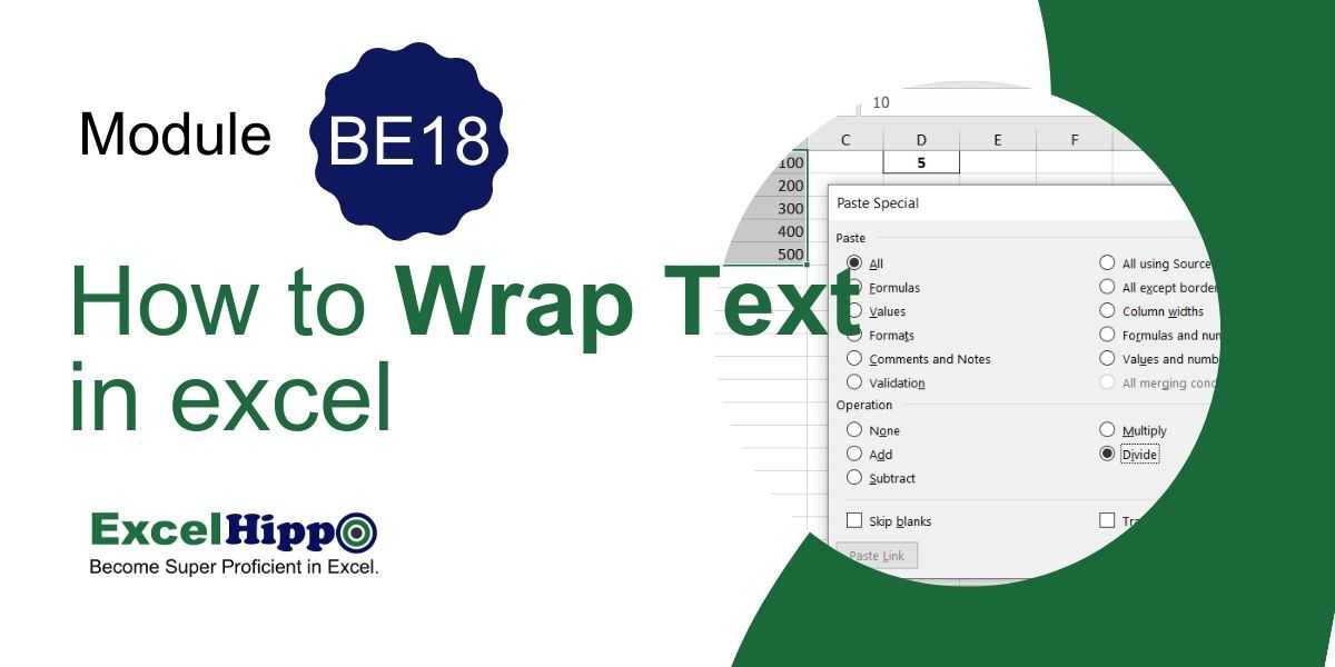 Wrap Text in excel - Excel Hippo Module - Excel For Beginners